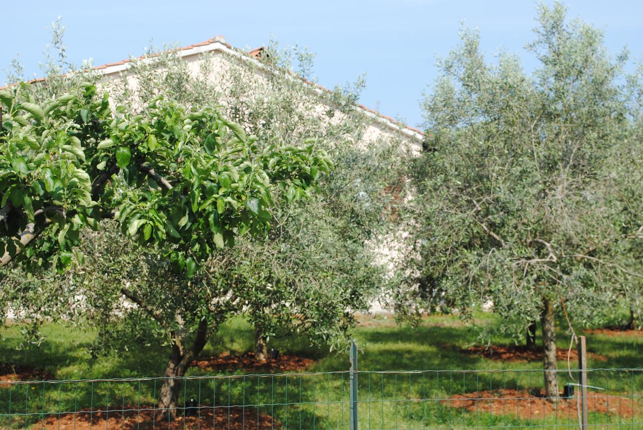 Holiday Home Ana Pula Exterior photo